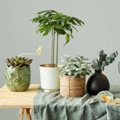 Vase MIO -Butlers Verkaufsgeschäft 1000337859 220225 021 MOOD DETAILS P000000001000337859 mood