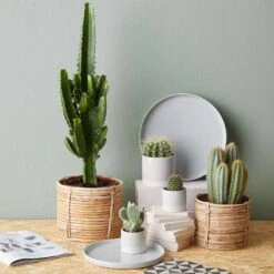 Pot De Fleur EARLY SPRING II -Butlers Verkaufsgeschäft 1000341413 220317 021 MOOD DETAILS P000000001000341413 mood