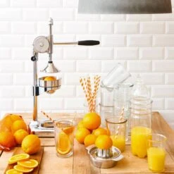 Presse à Fruits MENUETT -Butlers Verkaufsgeschäft 1000364213 220719 022 MOOD DETAILS P000000001000364213 mood