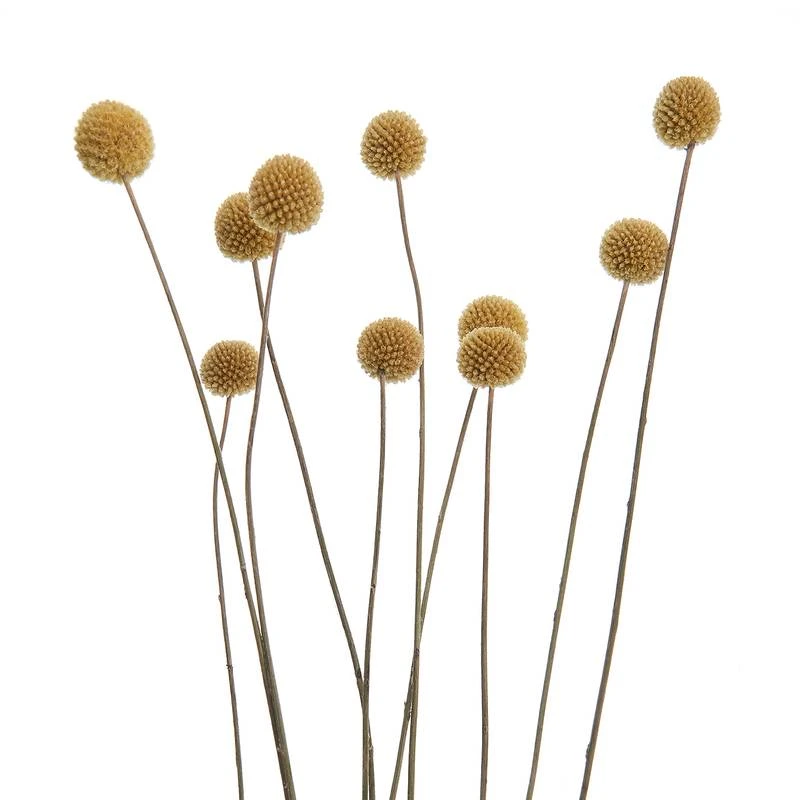 Fleurs Séchées FLOWER MARKET Bouquet 8 Fleurs Séchées FLOWER MARKET Bouquet – Image 6