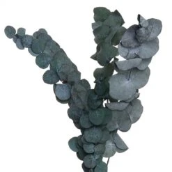 Fleurs Séchées FLOWER MARKET Bouquet 15 Fleurs Séchées FLOWER MARKET Bouquet -Butlers Verkaufsgeschäft 1000364948 220802 060 DETAILS P000000001000364948