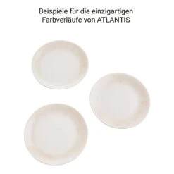 Assiettes Plates ATLANTIS - Lot De 4 -Butlers Verkaufsgeschäft 1000386145 230601 070 DETAILS P000000001000386145