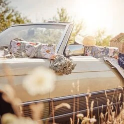 Nappe De Pique-nique BETWEEN FLOWERS -Butlers Verkaufsgeschäft 1000399329 230801 025 MOOD DETAILS P000000001000399329 mood